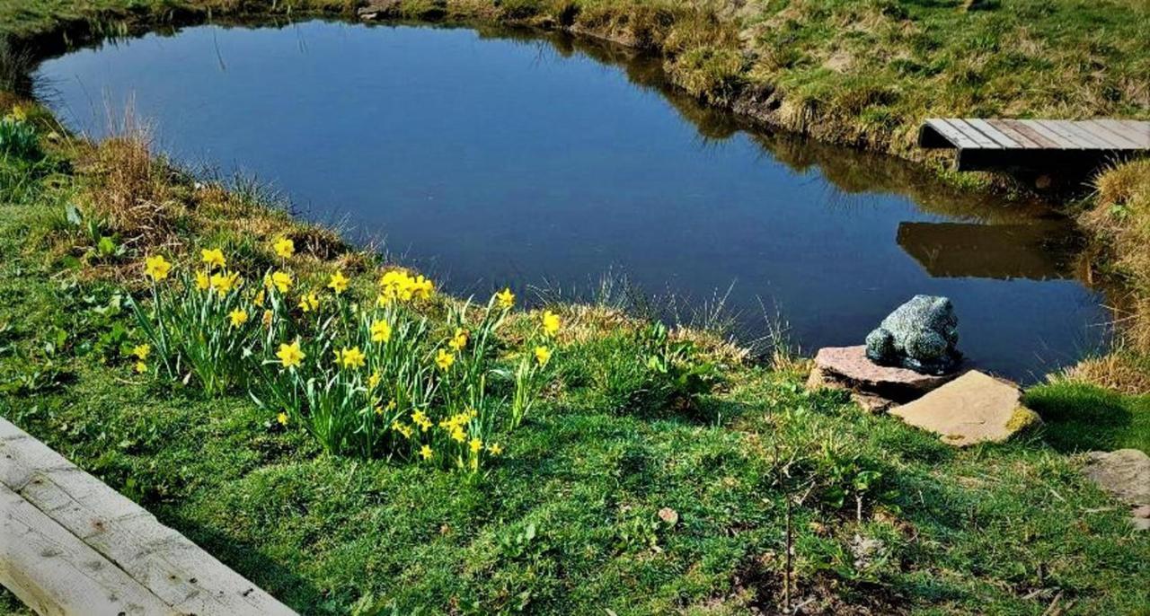 Peak District Cottage Set In 5 Acres Near Buxton Buxton  Exteriör bild